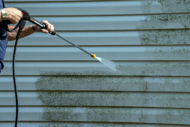Best Solar Panel Cleaning  in Netcong, NJ